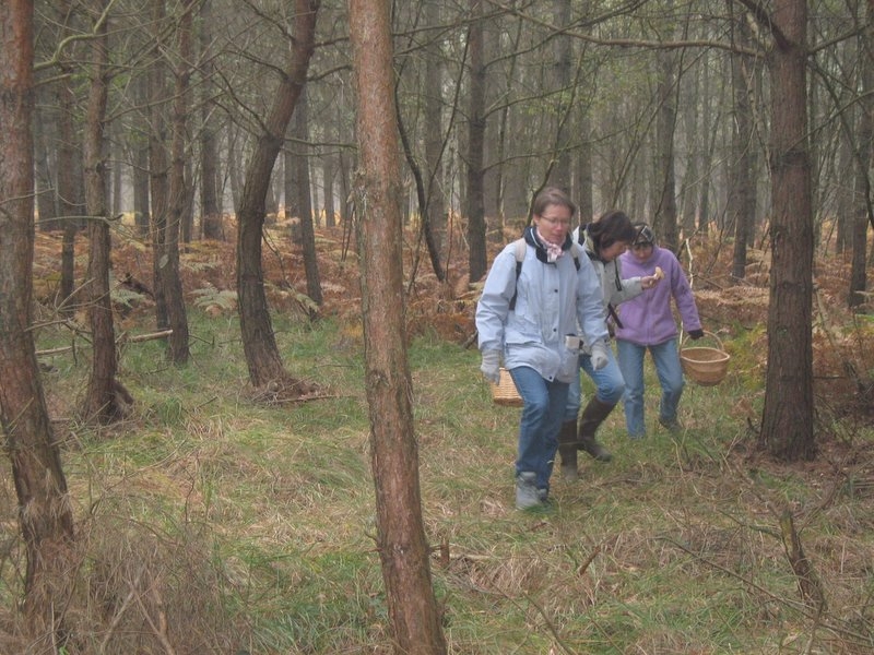 2006 11 Mycobocquet 08